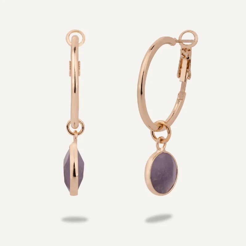 gold drop earrings for women -sterling silver necklaces for women -Amethyst Circular Lever Earrings In Gold-Tone